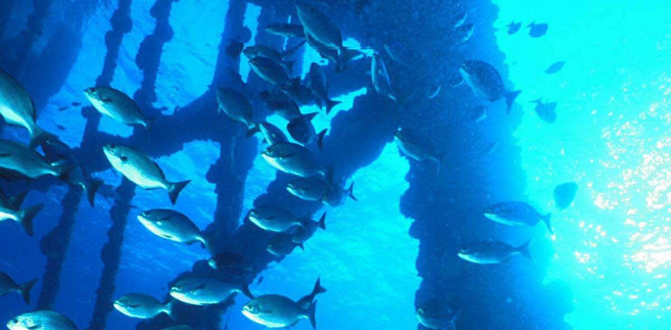 Can undersea oil rigs become homes? – Image Credit: US Bureau of Ocean Energy Management