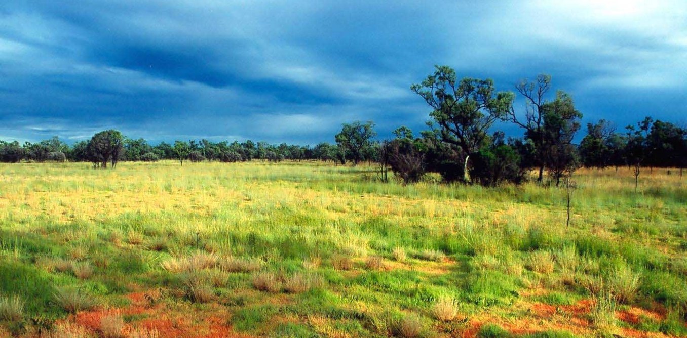 Storm season in the Australian tropical savanna. Euan Ritchie, Author provided