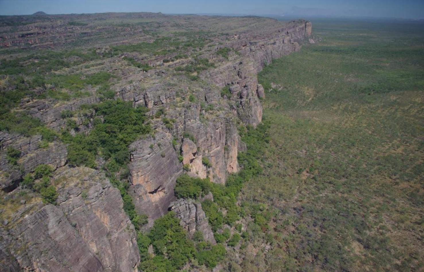 Within the fire-prone Great Northern Savannas exist fire-sensitive communities such as these Allosyncapria ternata rainforests along the edge of the Arnhem Plateau in Kakadu National Park. – Image Credit: Brett Murphy