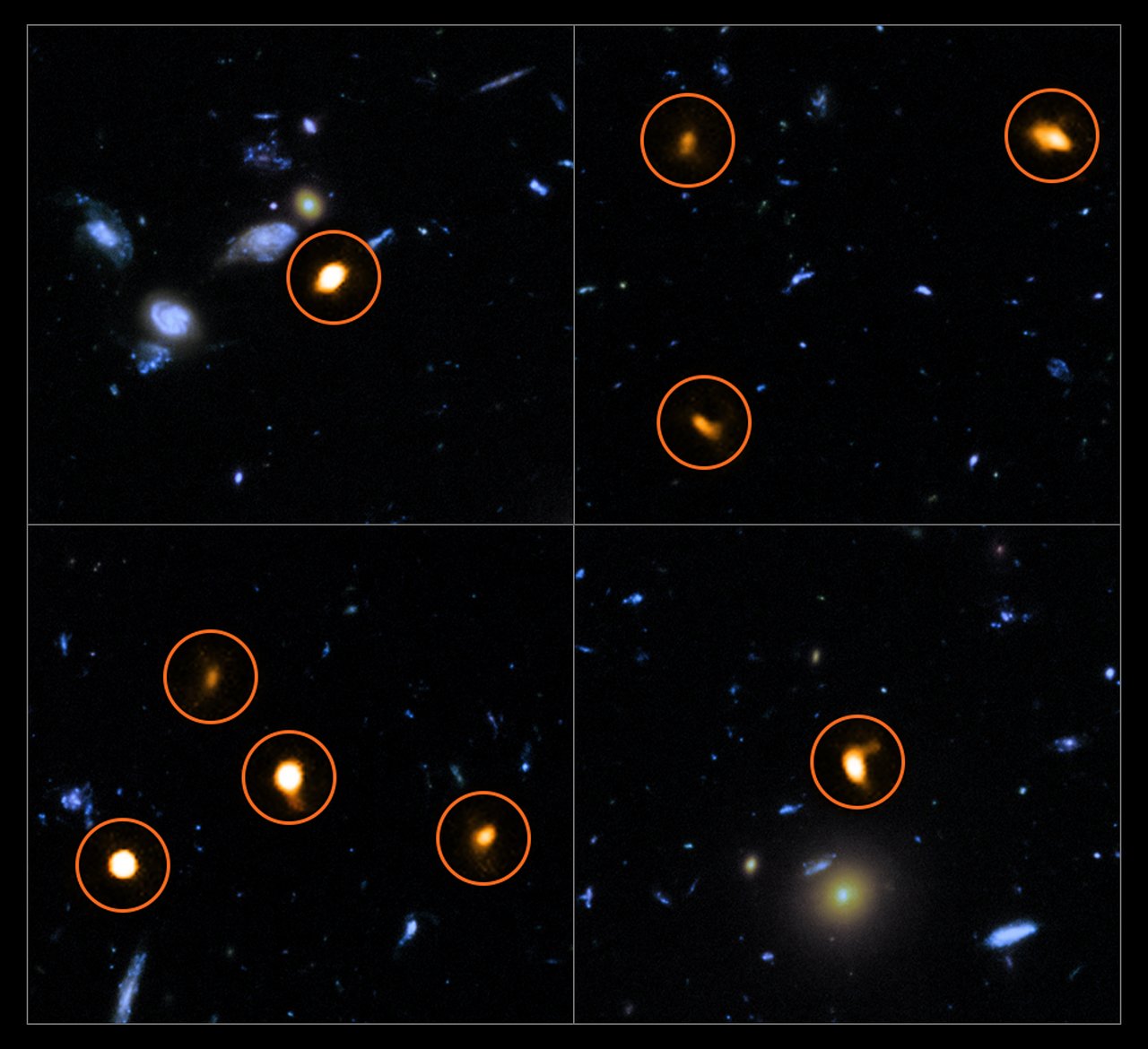 These cutout images are from a combination of a background picture taken by the NASA/ESA Hubble Space Telescope (blue/green) with a new very deep ALMA view of the field (orange, marked with circles). All the objects that ALMA sees appear to be massive star-forming galaxies. – Image Credit: ALMA (ESO/NAOJ/NRAO)/NASA/ESA/J. Dunlop et al. and S. Beckwith ( STScI ) and the HUDF Team.