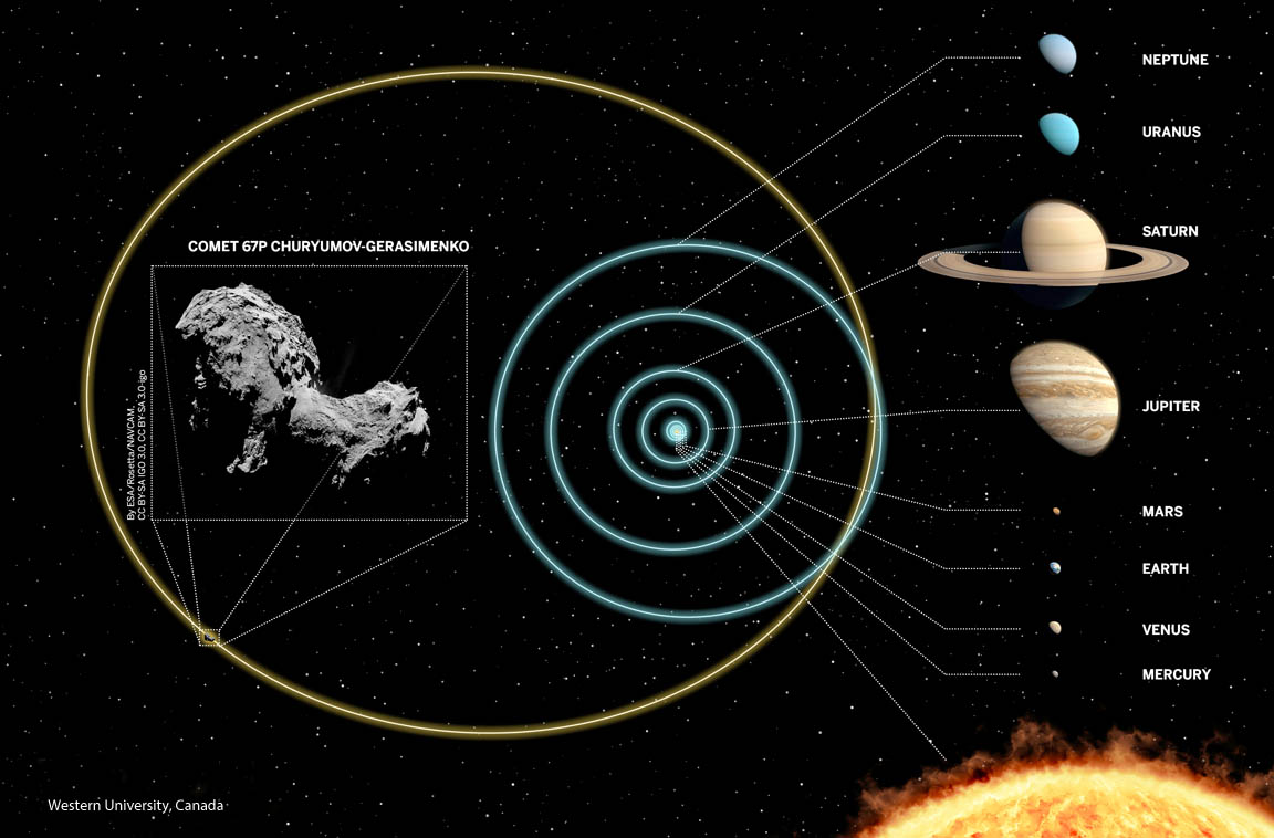 In the distant past, the orbit of 67P/Churyumov-Gerasimenko extended far beyond Neptune into the refrigerated Kuiper Belt. Interactions with the gravitational giant Jupiter altered the comet’s orbit over time, dragging it into the inner Solar System. - Image Credit: Western University, Canada
