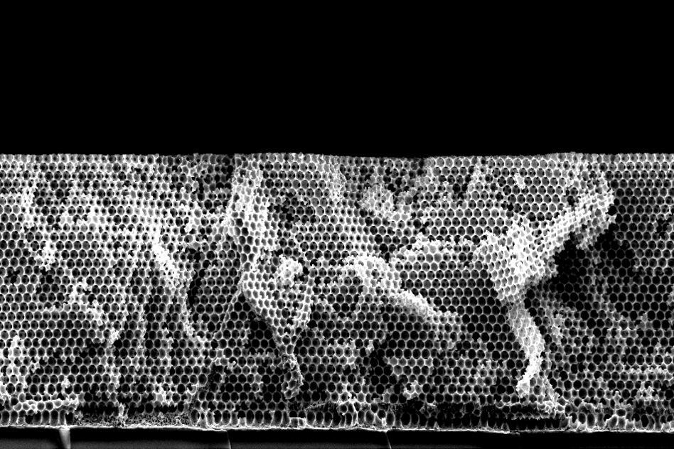 A silver-based catalyst material with a porous honeycomb-like structure, developed by the MIT team, can selectively transform carbon dioxide (CO2) to carbon monoxide (CO) – Courtesy of the researchers