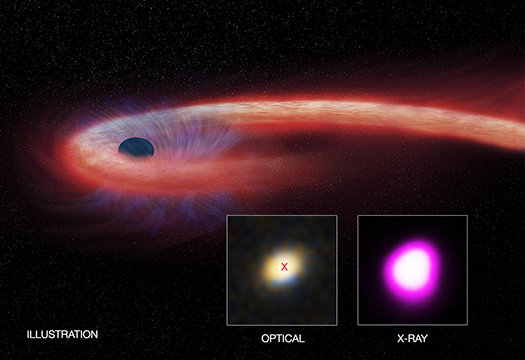 A trio of X-ray observatories has captured a decade-long eating binge by a black hole almost two billion light years away. Credit: X-ray: NASA/CXC/UNH/D.Lin et al, Optical: CFHT, Illustration: NASA/CXC/M.Weiss.