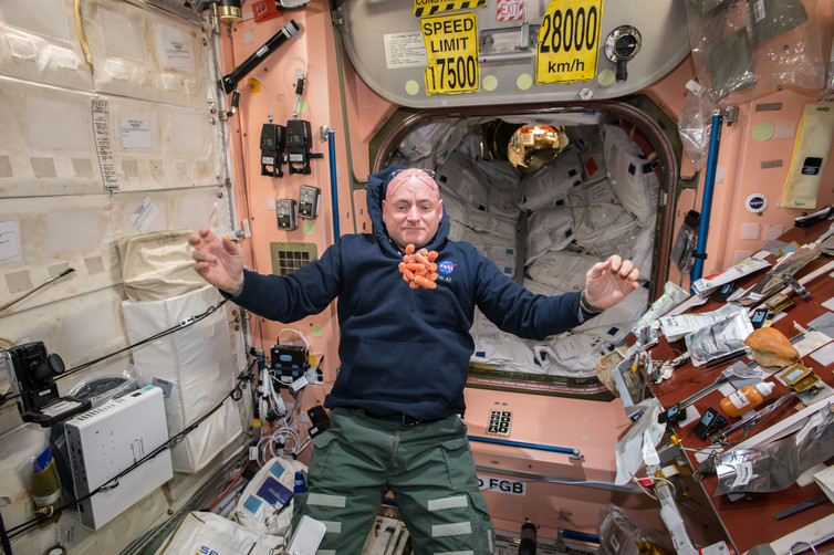 Scott watches a bunch of fresh carrots at the ISS. - Image Credit: NASA