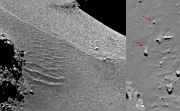 Features in the Hapi region show evidence of local gas-driven transport producing dune-like ripples (left) and boulders with ‘wind-tails’ (right) – where the boulder has acted as a natural obstacle to the direction of the gas flow, creating a streak of material ‘downwind’ of it. The images were taken with the OSIRIS narrow-angle camera on 18 September 2014. - ImageCredit: ESA/Rosetta/MPS for OSIRIS Team MPS/UPD/LAM/IAA/SSO/INTA/UPM/DASP/IDA