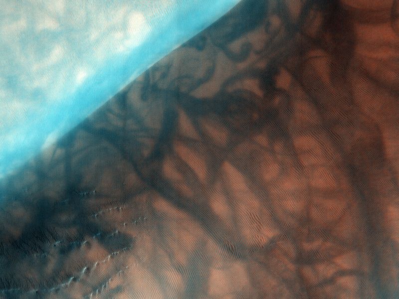This image of the Russell Crater, an area of study for HiRise, shows the area covered in dunes, with some frost visible in the lower left. The larger, darker markings are dust devil tracks. Image: By NASA/JPL/University of Arizona – HiRISE, Public Domain, https://commons.wikimedia.org/w/index.php?curid=12015650