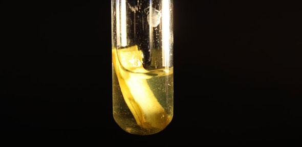 Paper releasing gaseous hydrogen under solar light - Image Credit: Dept of Chemistry University of Cambridge