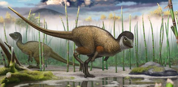 Kulindadromeus, a small bipedal ornithischian dinosaur that is now part of the new grouping Ornithoscelida and identified as more obviously sharing an ancestry with living birds - Image Credit: Pascal Godefroid