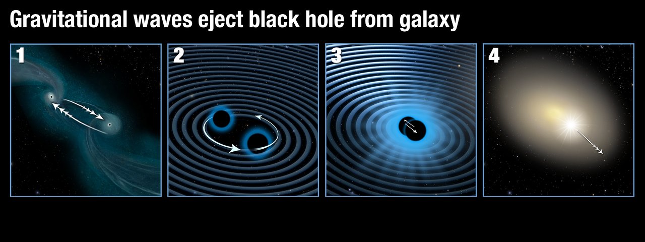 This illustration shows how two supermassive black holes merged to form a single black hole which was then ejected from its parent galaxy. Panel 1: Two galaxies are interacting and finally merging with each other. The supermassive black holes in their centres are attracted to each other. Panel 2: As soon as the supermassive black holes get close they start orbiting each other, in the process creating strong gravitational waves. Panel 3: As they radiate away gravitational energy the black holes move closer to each other over time and finally merge. Panel 4: If the two black holes do not have the same mass and rotation rate, they emit gravitational waves more strongly along one direction. When the two black holes finally collide, they stop producing gravitational waves and the newly merged black hole then recoils in the opposite direction to the strongest gravitational waves and is shot out of its parent galaxy. - Image Credit: NASA, ESA/Hubble, and A. Feild/STScI
