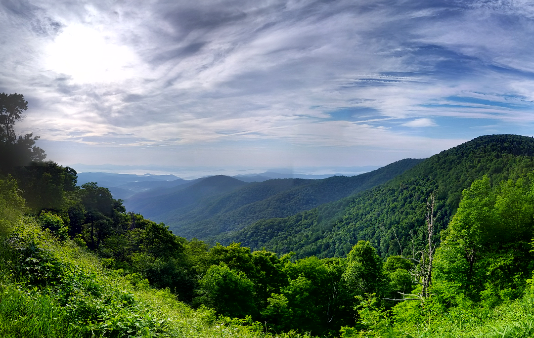 Pisgah National Forest, North Carolina. - Image Credit: Tjss99/Flickr , CC BY-NC