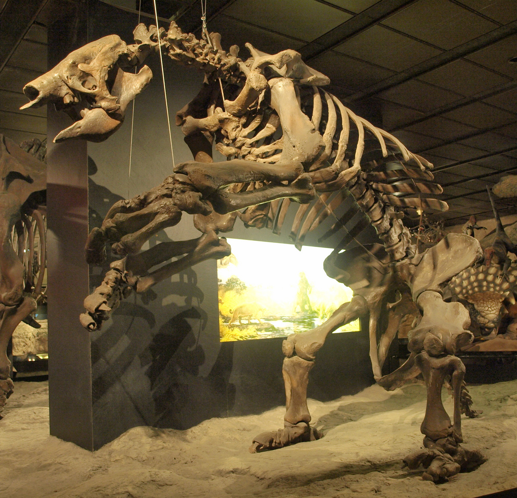Giant sloths: killed by rainy weather? - Image Credit: Kamraman/Wikimedia Commons , CC BY-SA