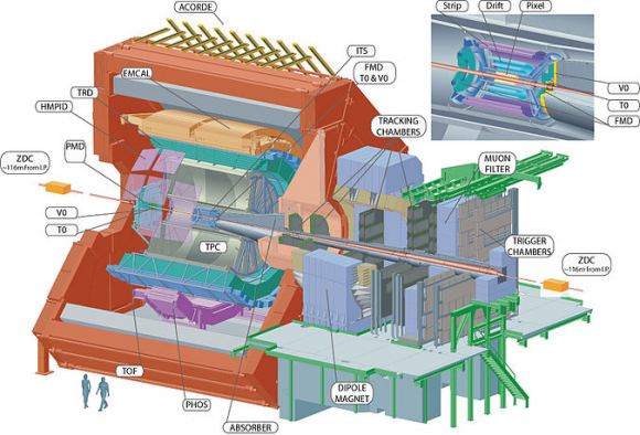 A cut-away view of the ALICE detector at CERN’s LHC. - Image Credit: Pcharito/WikimediaCommons