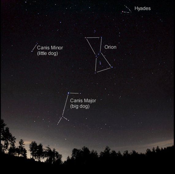 View of the night sky in North Carolina, showing the constellations of Orion, Hyades, Canis Major and Canis Minor. - Image Credit: NASA