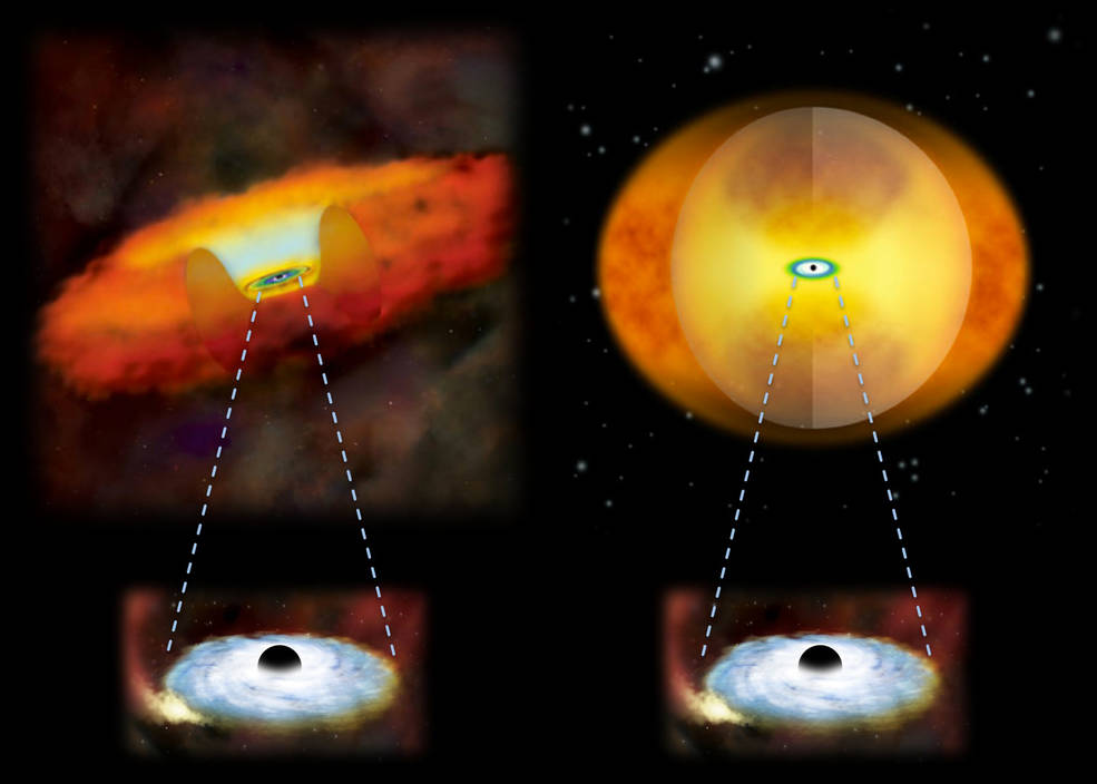 This illustration compares growing supermassive black holes in two different kinds of galaxies. A growing supermassive black hole in a normal galaxy would have a donut-shaped structure of gas and dust around it (left). In a merging galaxy, a sphere of material obscures the black hole (right). - Image Credits: National Astronomical Observatory of Japan