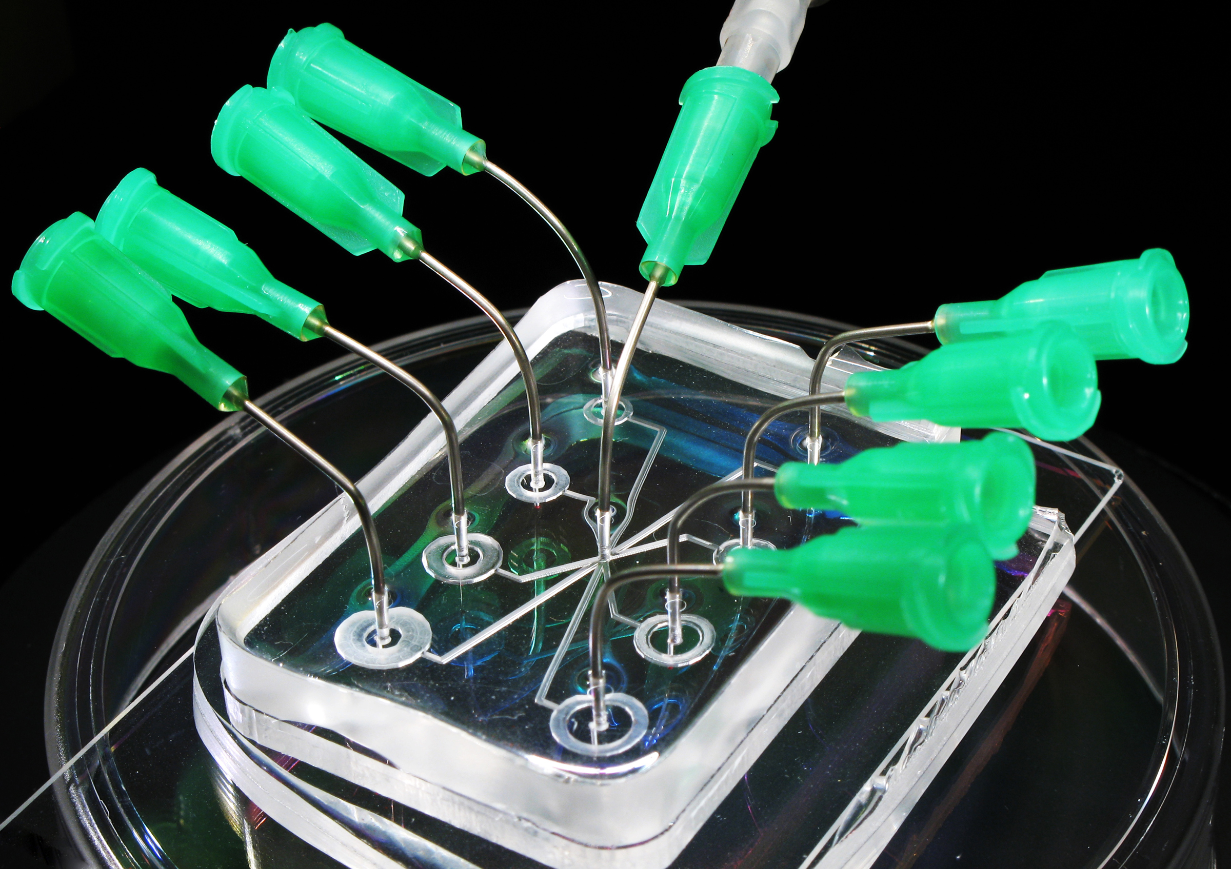 Lab on a chip - Image Credit: Cooksey/NIST/WikimediaCommons