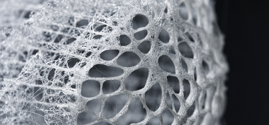 The glass fibers that make up the Euplectella aspergillum sponge are surprisingly strong and flexible. - Image Credit: Michael A Monn, CC BY-ND