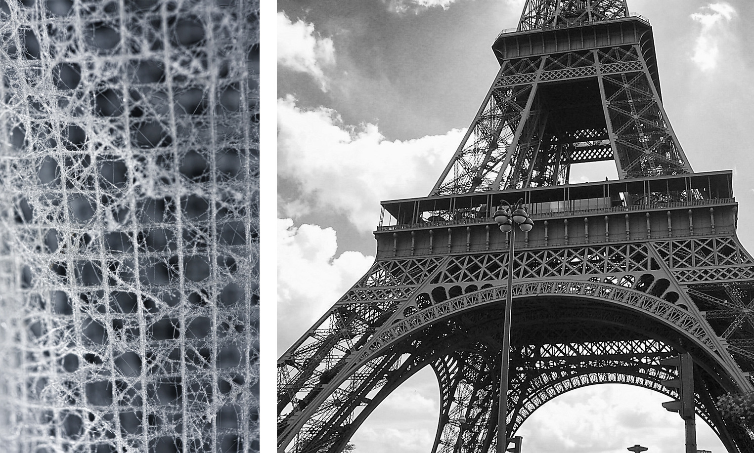 The intricate skeleton of Euplectella aspergillum (left), and the Eiffel Tower (right). Both structures are composed of an assembly of beam-like elements. - Image Credit: Michael A. Monn, CC BY-ND