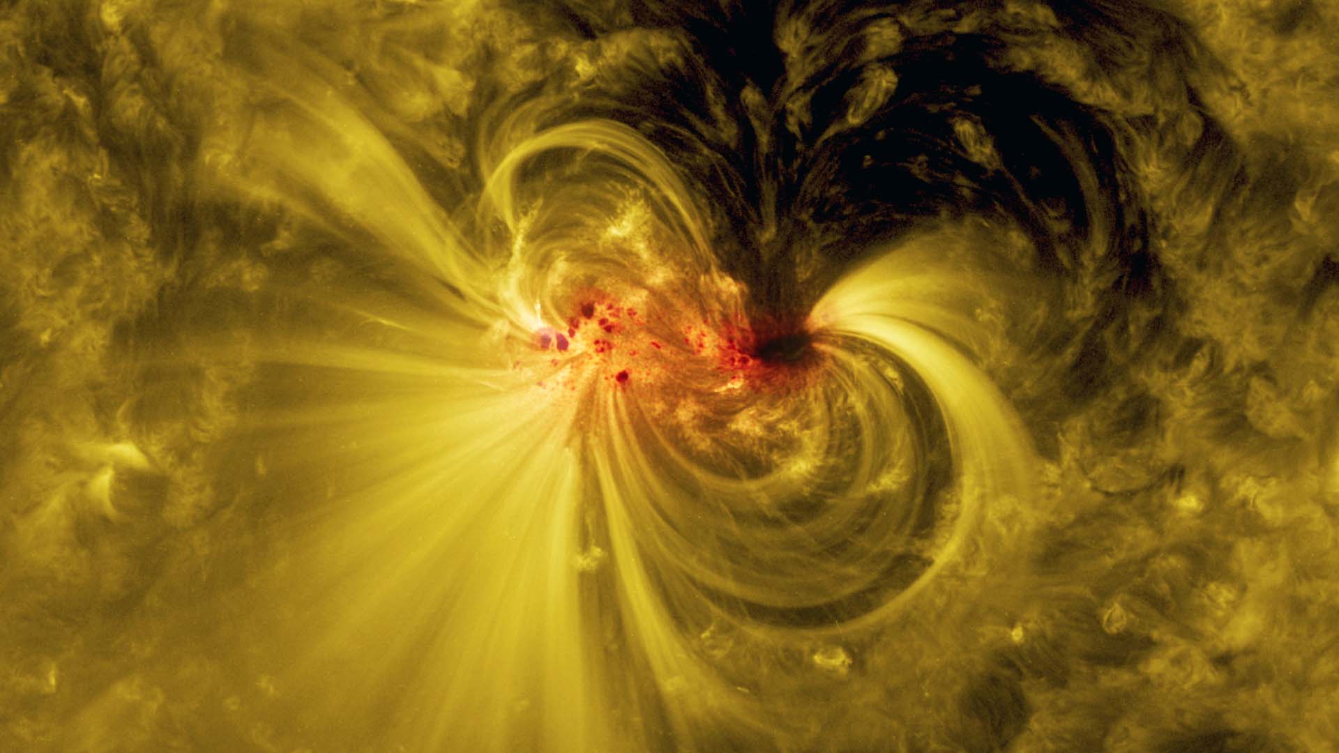 A blended view of the sunspot in visible and extreme ultraviolet light reveals bright coils arcing over the active region — particles spiraling along magnetic field lines. - Image Credit: NASA’s Goddard Space Flight Center/SDO