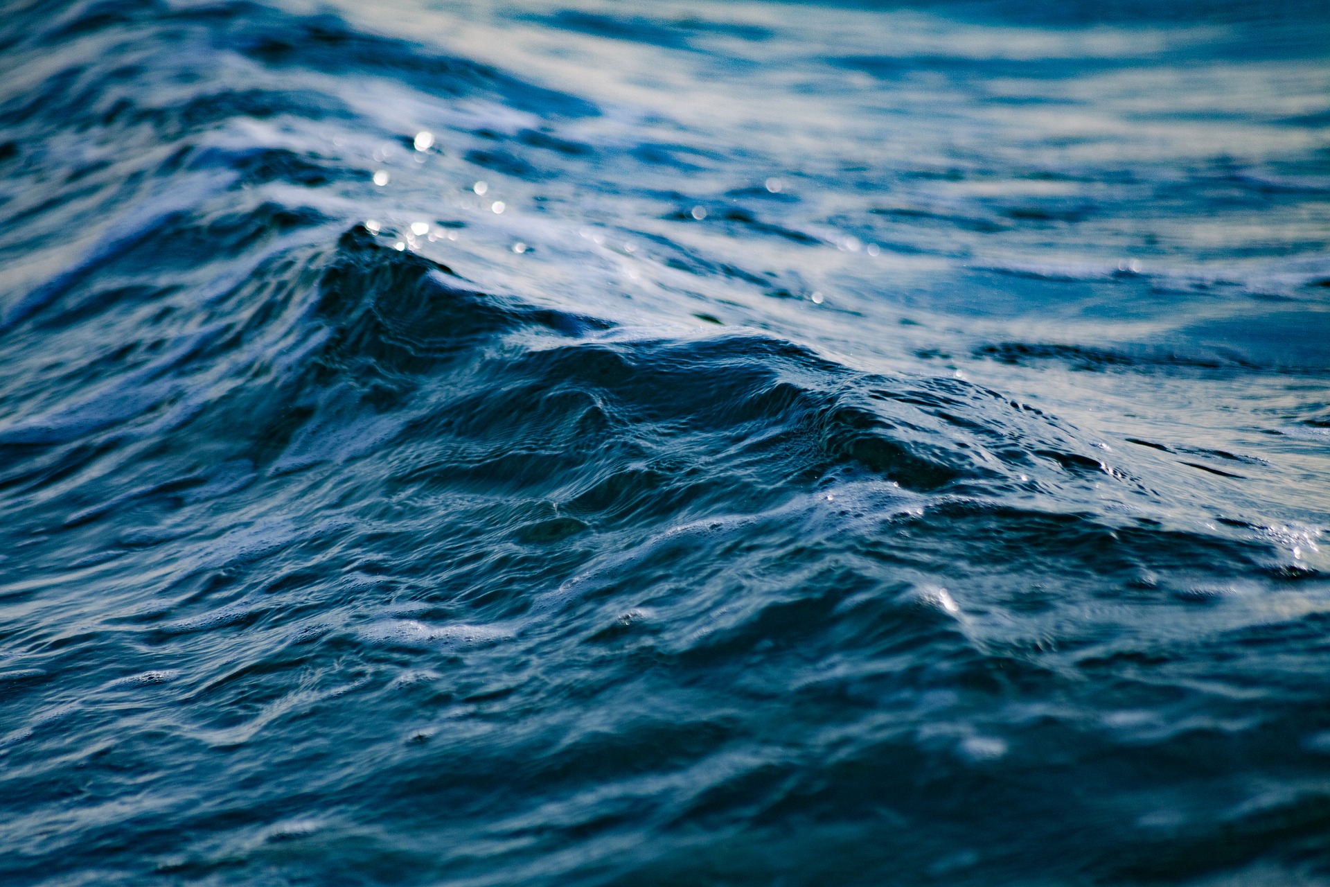 Image Credit: Pexels/Pixabay