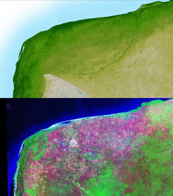 Satellite views of the Chicxulub impact site in the Yucutan Peninsula, southern Mexico. - Image Credit: NASA/JPL