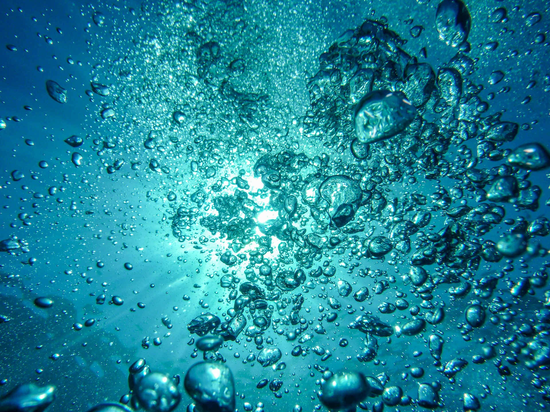 Image Credit: MartinStr via pixabay