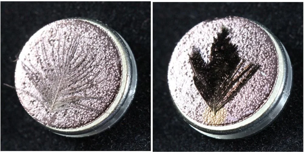 Due to its unusual microstructure, the feather from the Paradise Riflebird (on the right) still appears super-black when coated with gold, as compared to a regular black feather (on the left). - Image Credit: Dakota McCoy, CC BY-ND