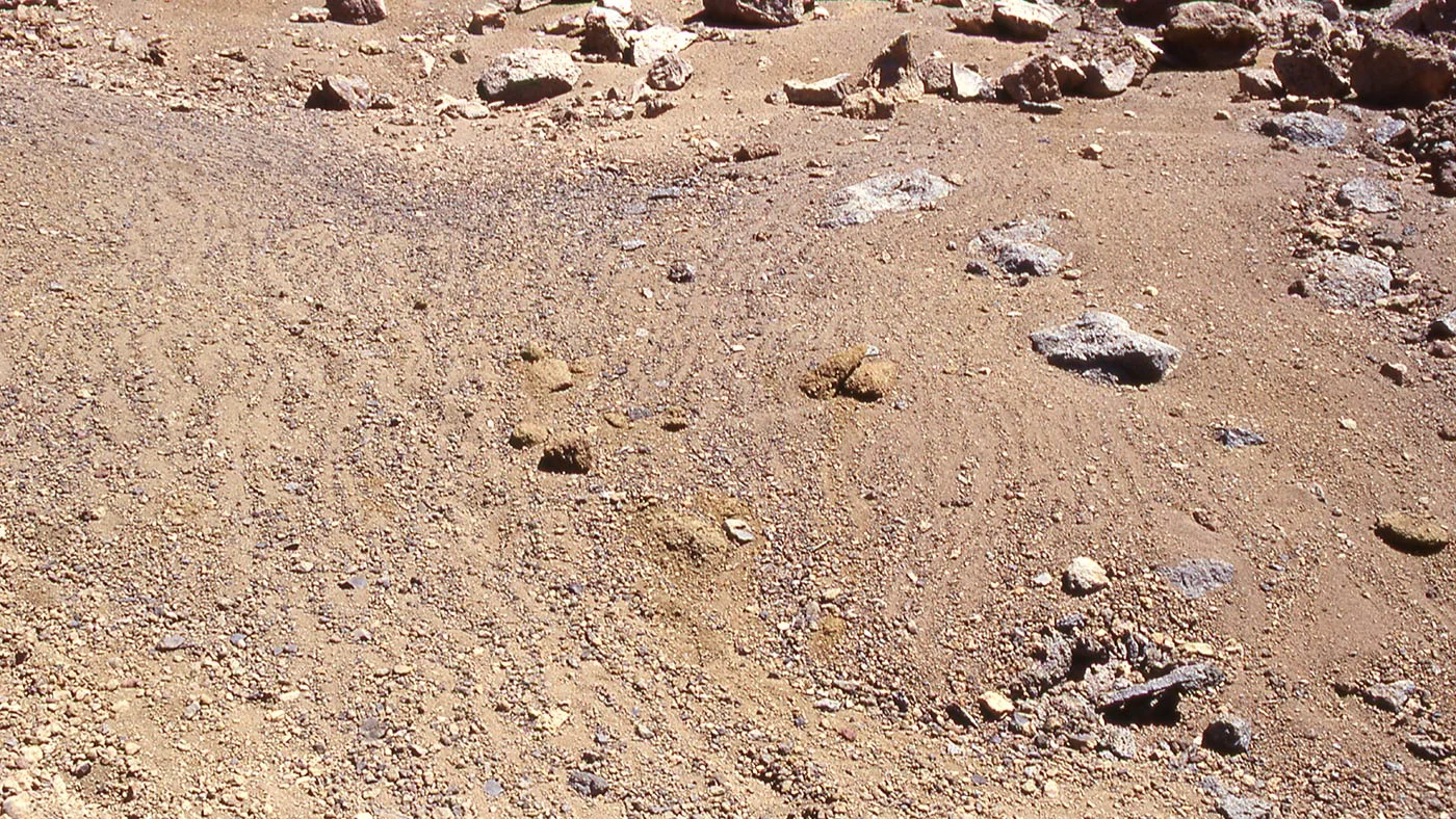This image shows stone stripes on the side of a volcanic cone on Mauna Kea, Hawaii. The stripes are made of small rock fragments and they are aligned downhill as freeze-thaw cycles have lifted them up and out of the finer-grained regolith, and moved them to the sides, forming stone stripes. - Image Credit: Washington University in St. Louis/NASA