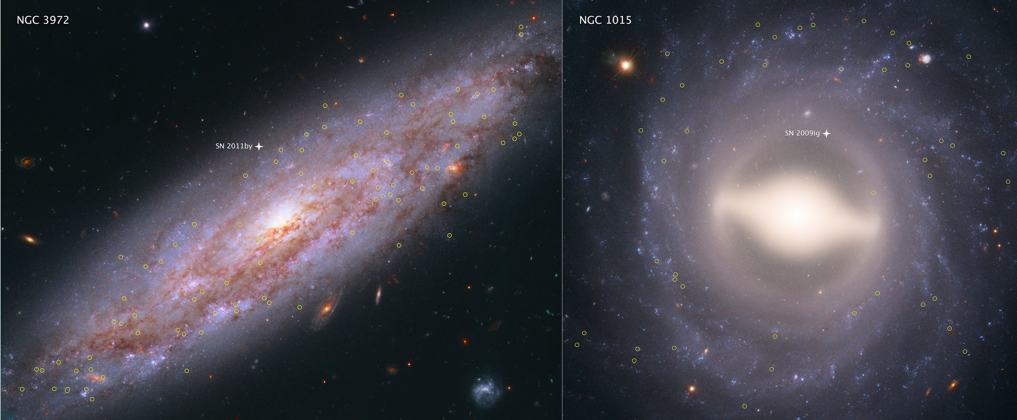 These Hubble Space Telescope images showcase two of the 19 galaxies analyzed in a project to improve the precision of the universe's expansion rate, a value known as the Hubble constant. The color-composite images show NGC 3972 (left) and NGC 1015 (right), located 65 million light-years and 118 million light-years, respectively, from Earth. The yellow circles in each galaxy represent the locations of pulsating stars called Cepheid variables. - Image Credits: NASA, ESA, A. Riess (STScI/JHU)