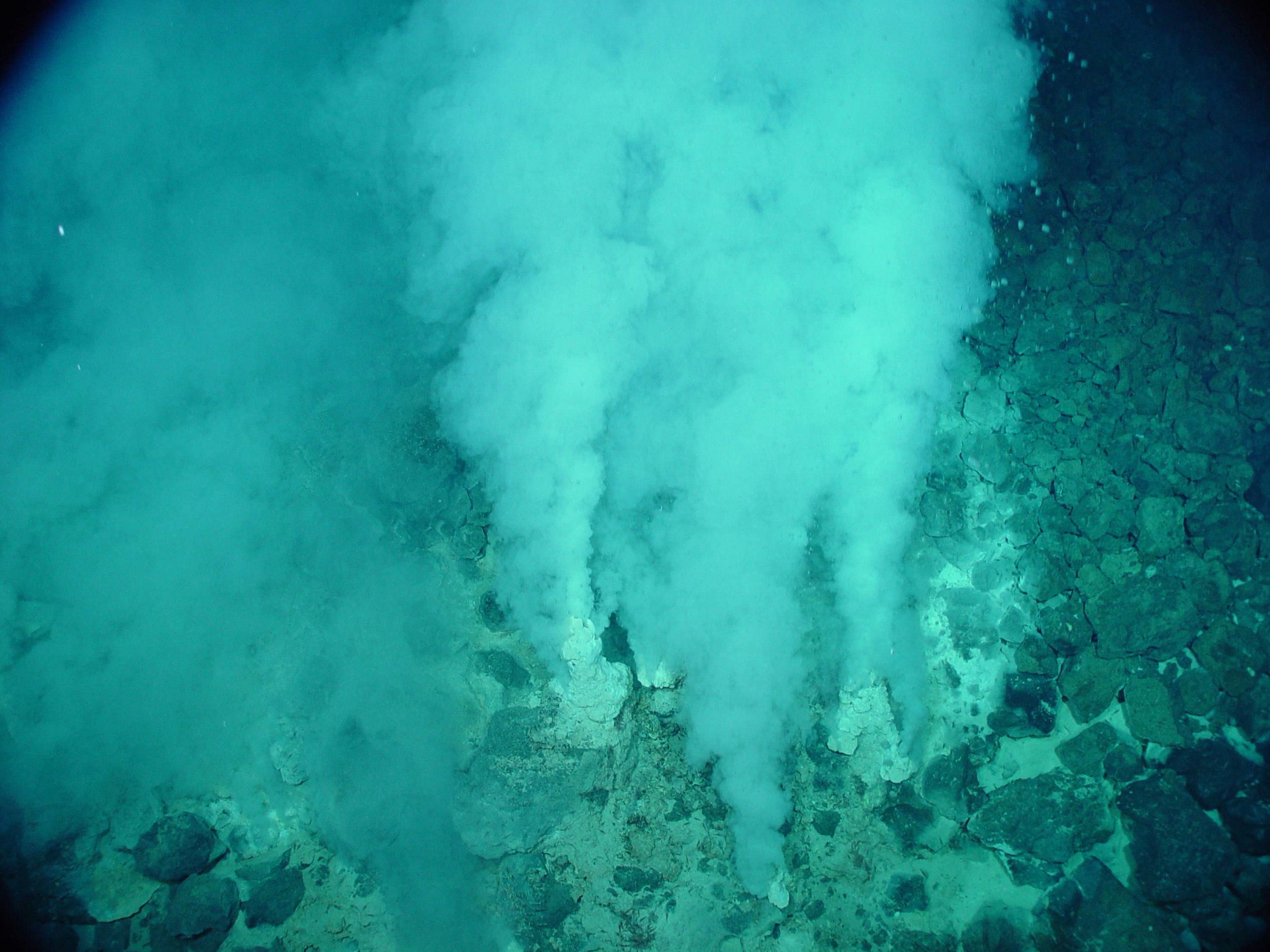 Hydrothermal vents on Earth’s ocean floor. Credit: NOAA