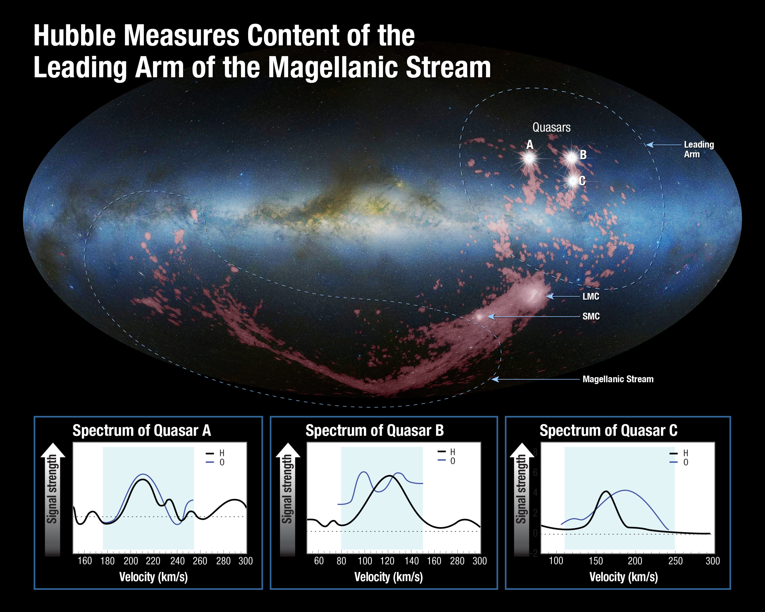 The Large and Small Magellanic Clouds gravitationally tug at each other, and one of them has pulled out a huge amount of gas from its companion. This shredded and fragmented gas, called the Leading Arm, is being devoured by the Milky Way and is feeding new star birth in our galaxy. Using Hubble data, scientists have now solved which dwarf galaxy is doing the pulling. - Image Credits: Nidever et al/NRAO/AUI/NSF/Mellinger/Leiden-Argentine-Bonn/LAB Survey/Parkes Obs/Westerbork Obs/Arecibo Obs/Feild/STScI/NASA/ESA/A. Fox/STScI