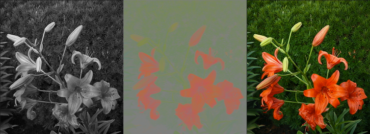 Figure 2. A full-colour image (right) can be decomposed into a luminance (brightness) component (left), which has no colour information, and a chrominance (colour) component (centre) which has no brightness information. The luminance image is what a black-and-white camera records. - Image Credit: Wikimedia , CC BY-SA