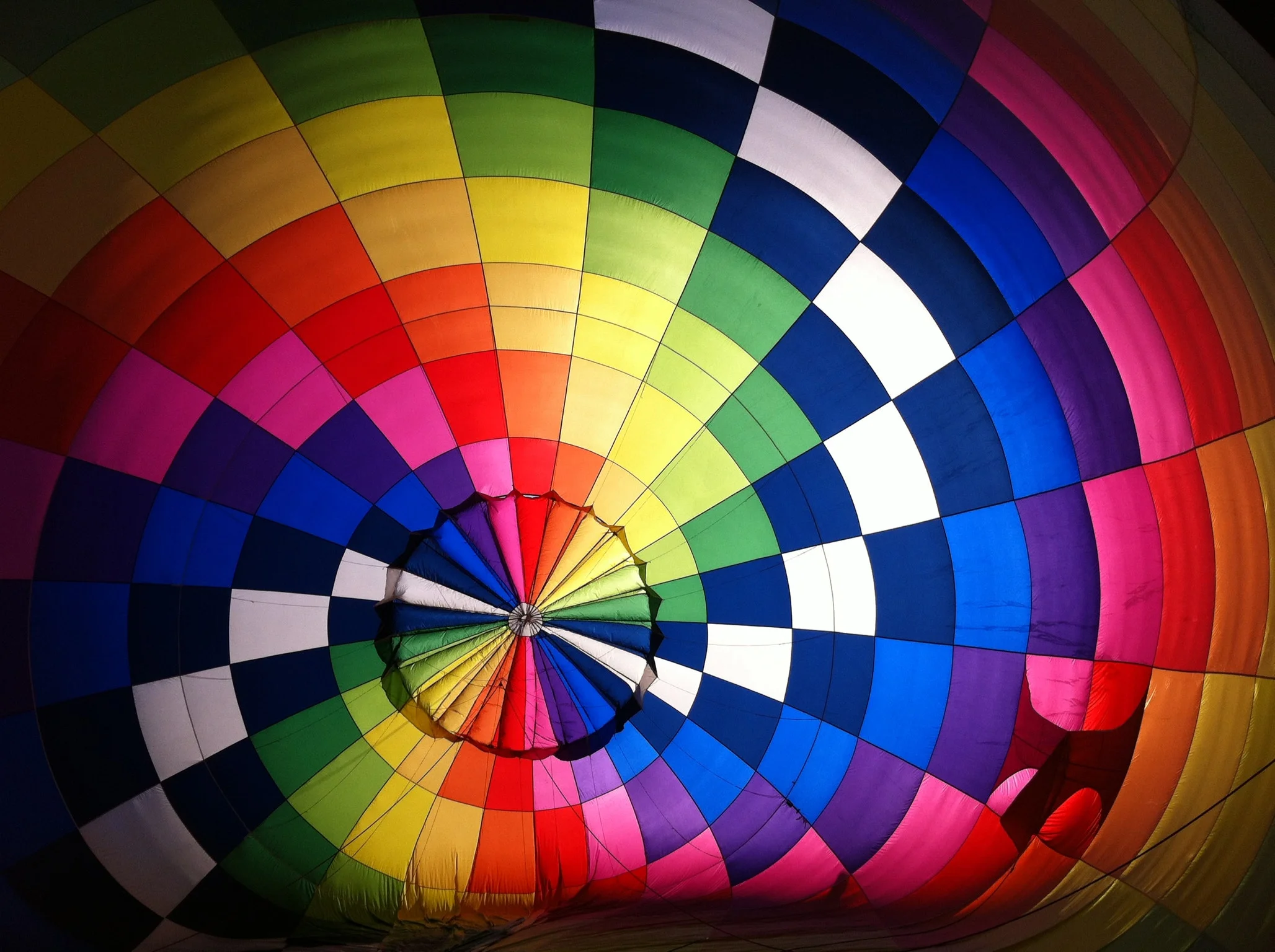 Image Credit: Sharon Wahrmund via Pexels