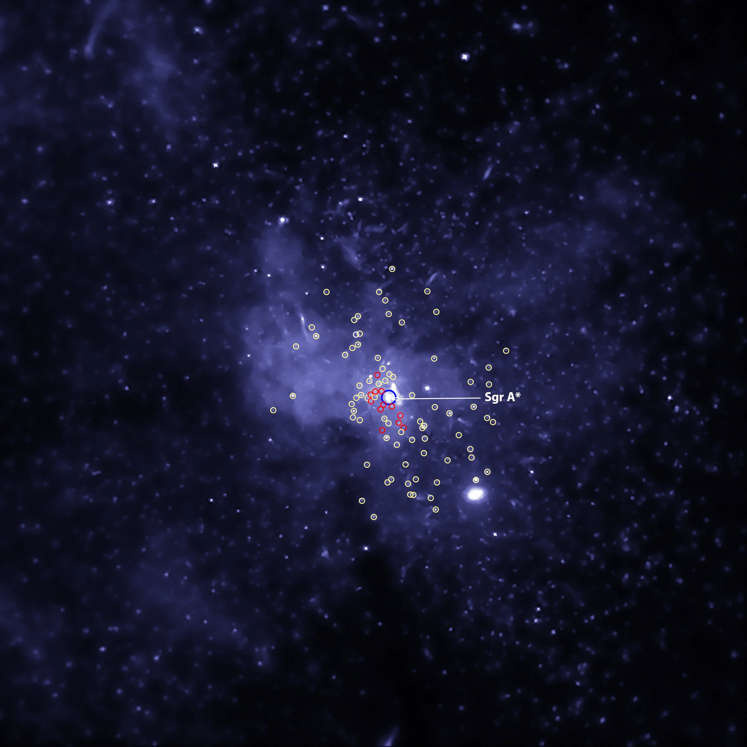 Black Hole Bounty Captured in the Milky Way Center