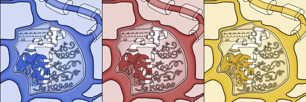 Each neuron contains a metaphorical machine that translates its electrical activity into molecular records. - Image Credit: Anastasia Nizhnik and Kelsey Tyssowski, CC BY-ND