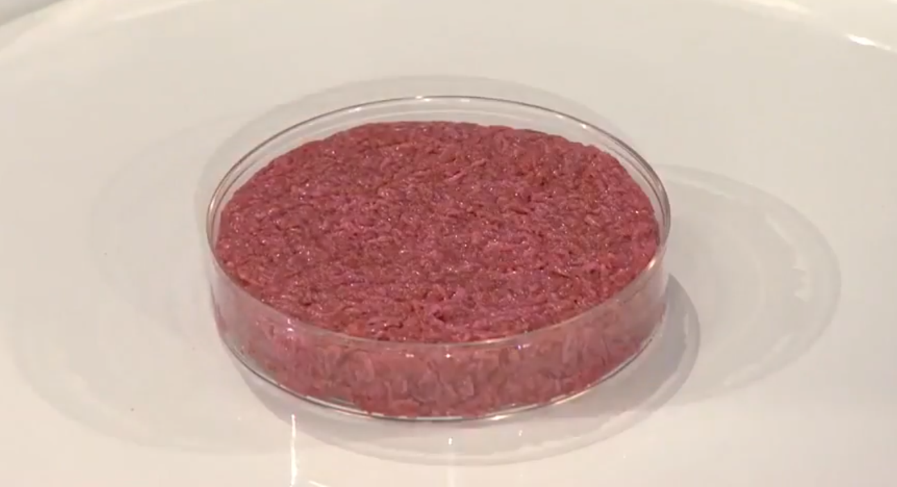 First cultured hamburger, before being cooked. - Image Credit: World Economic Forum via Wikimedia Commons