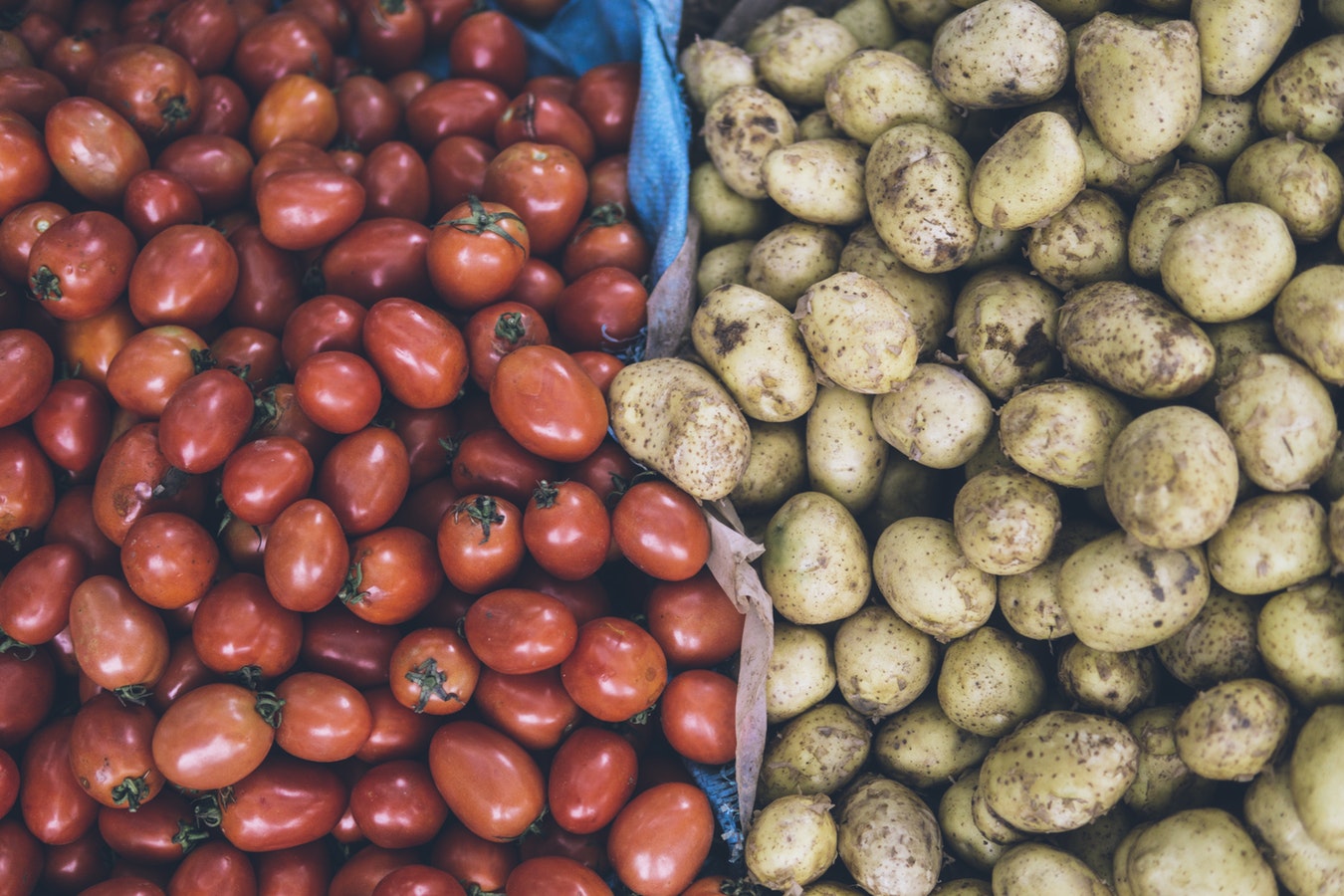 Image Credit: Linh Pham via Unsplash