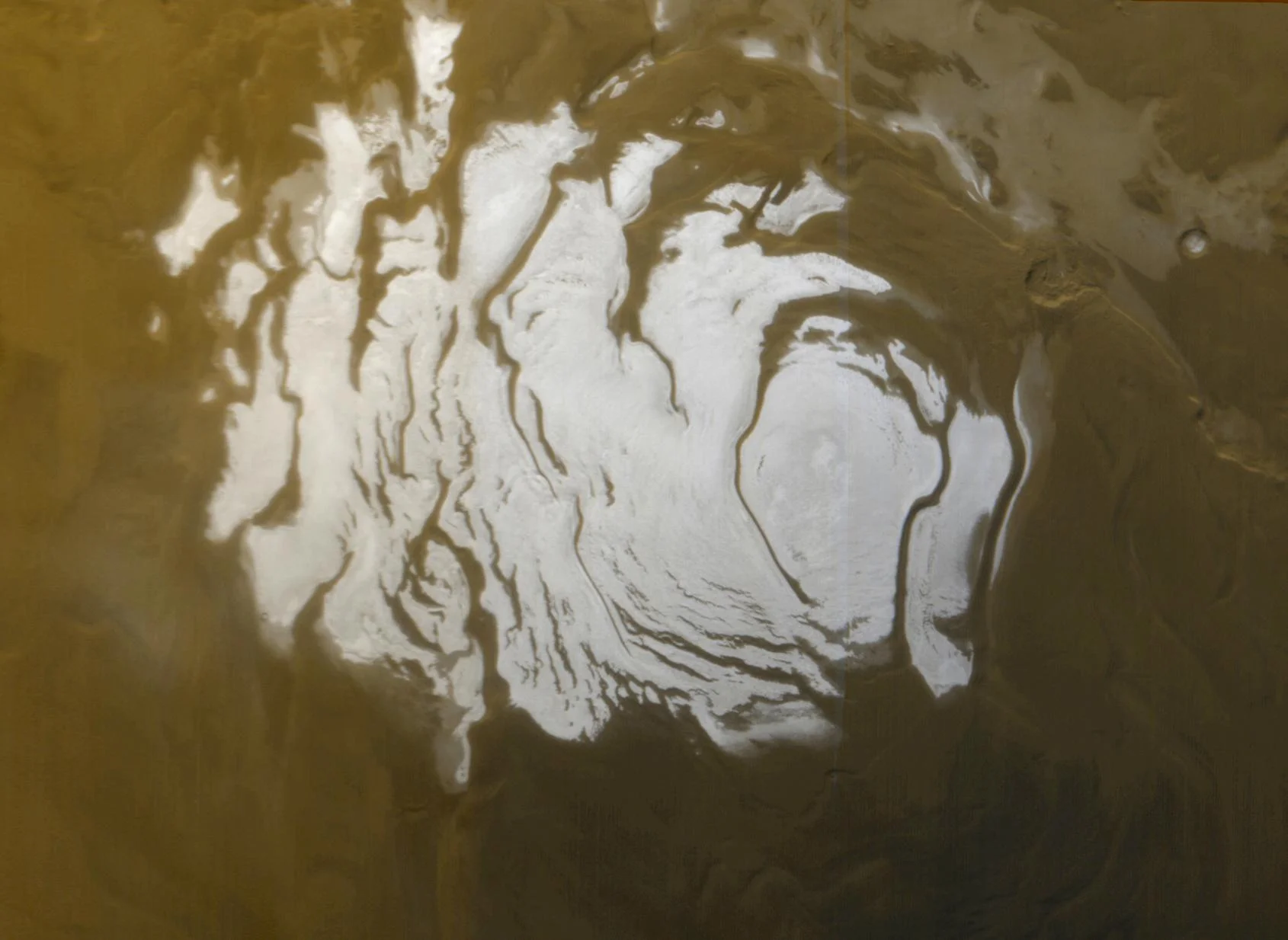 What on Earth could live in a salt water lake on Mars? An expert explains