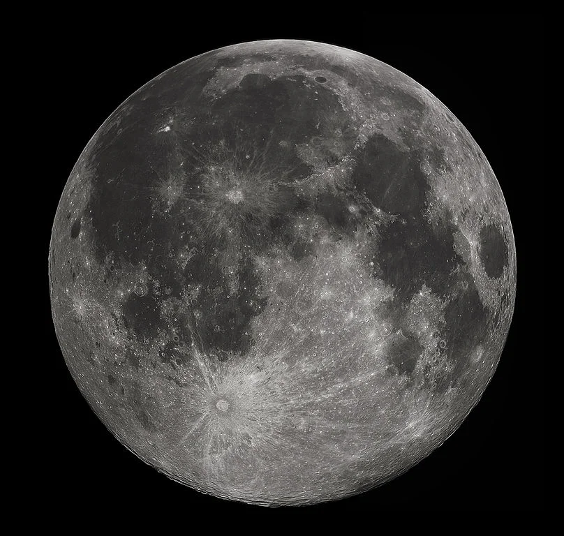 Image Credit: Gregory H. Revera via Wikimedia Commons