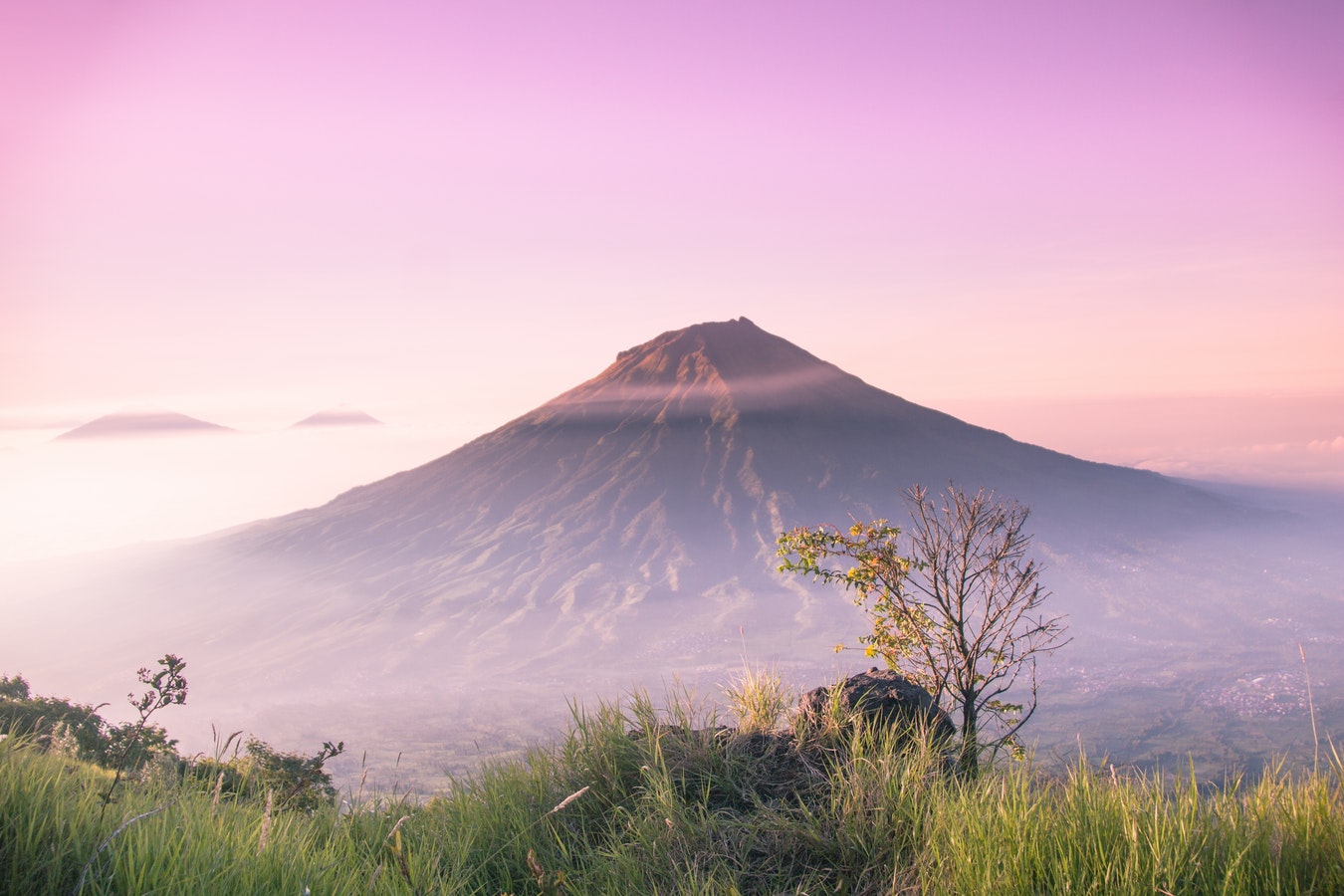 Image Credit: Hamzah Hanafi via Unsplash
