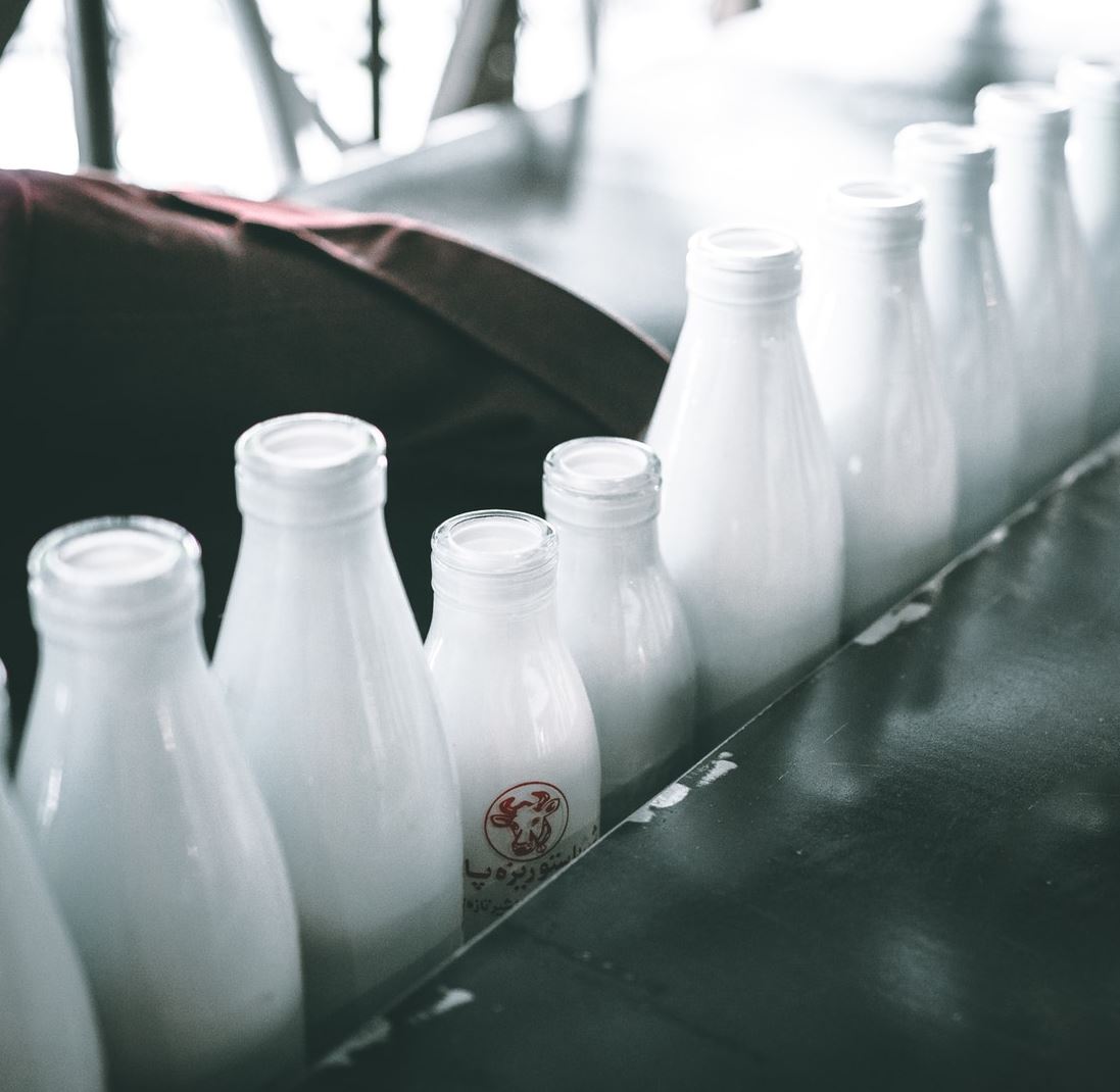 Evolution explains why we can still drink milk. - Image Credit: Mehrshad Rajabi via Unsplash
