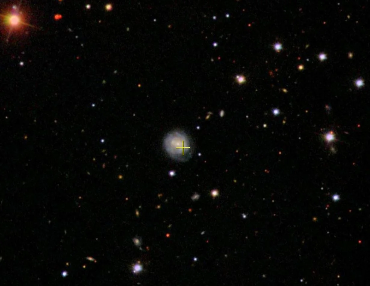 ‘The Cow’ explosion: how astronomers are cracking one of the greatest new mysteries of the sky