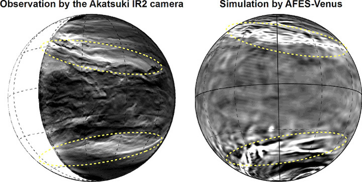 (Left) The lower clouds of Venus observed with the Akatsuki IR2 camera. The bright parts show where the cloud cover is thin. You can see the planetary-scale streak structure within the yellow dotted lines. (Right) The planetary-scale streak structure reconstructed by AFES-Venus simulations. The bright parts show a strong downflow. (Partial editing of image in the Nature Communications paper. CC BY 4.0 )
