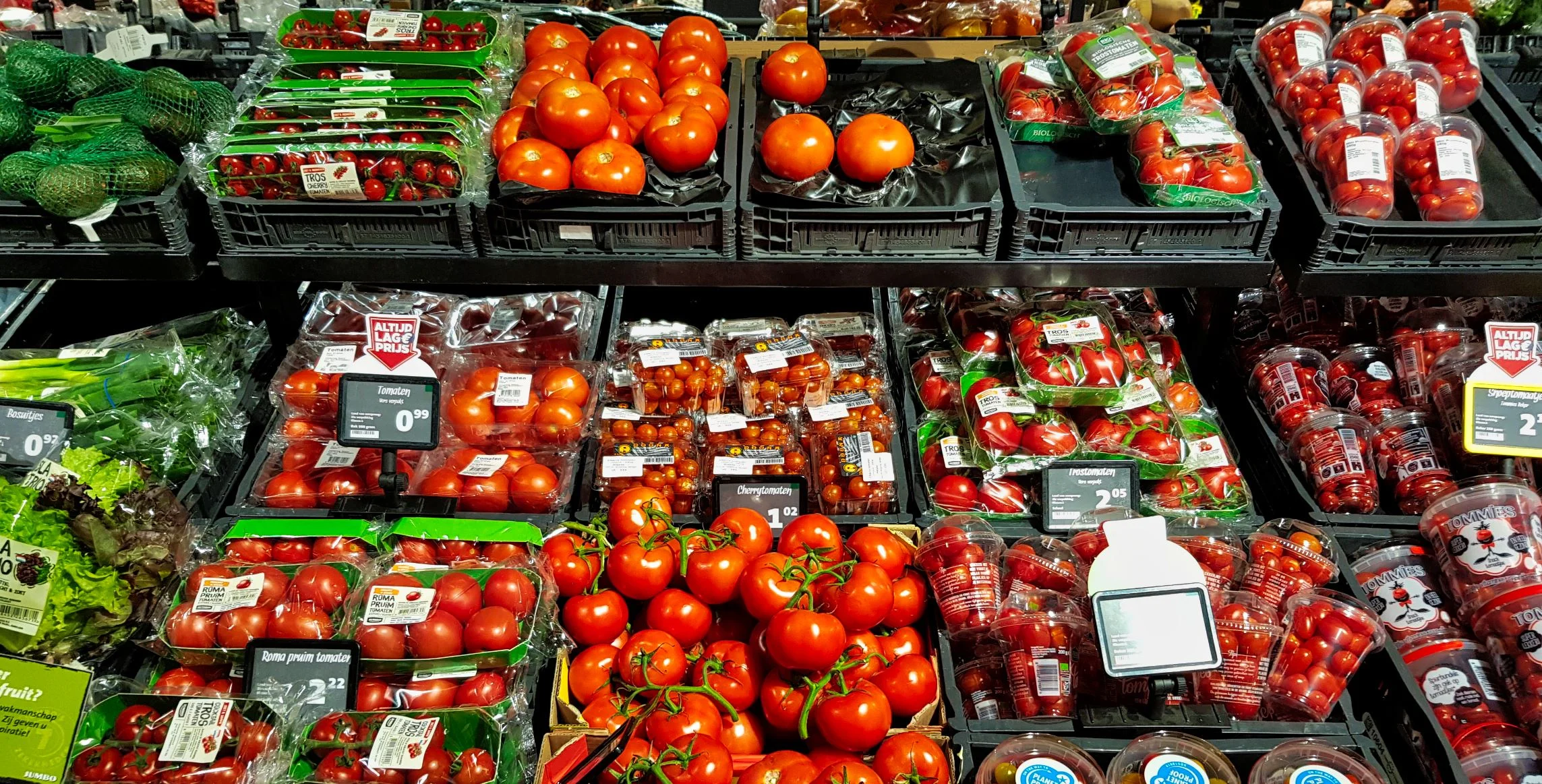 How to feed a growing population healthy food without ruining the planet