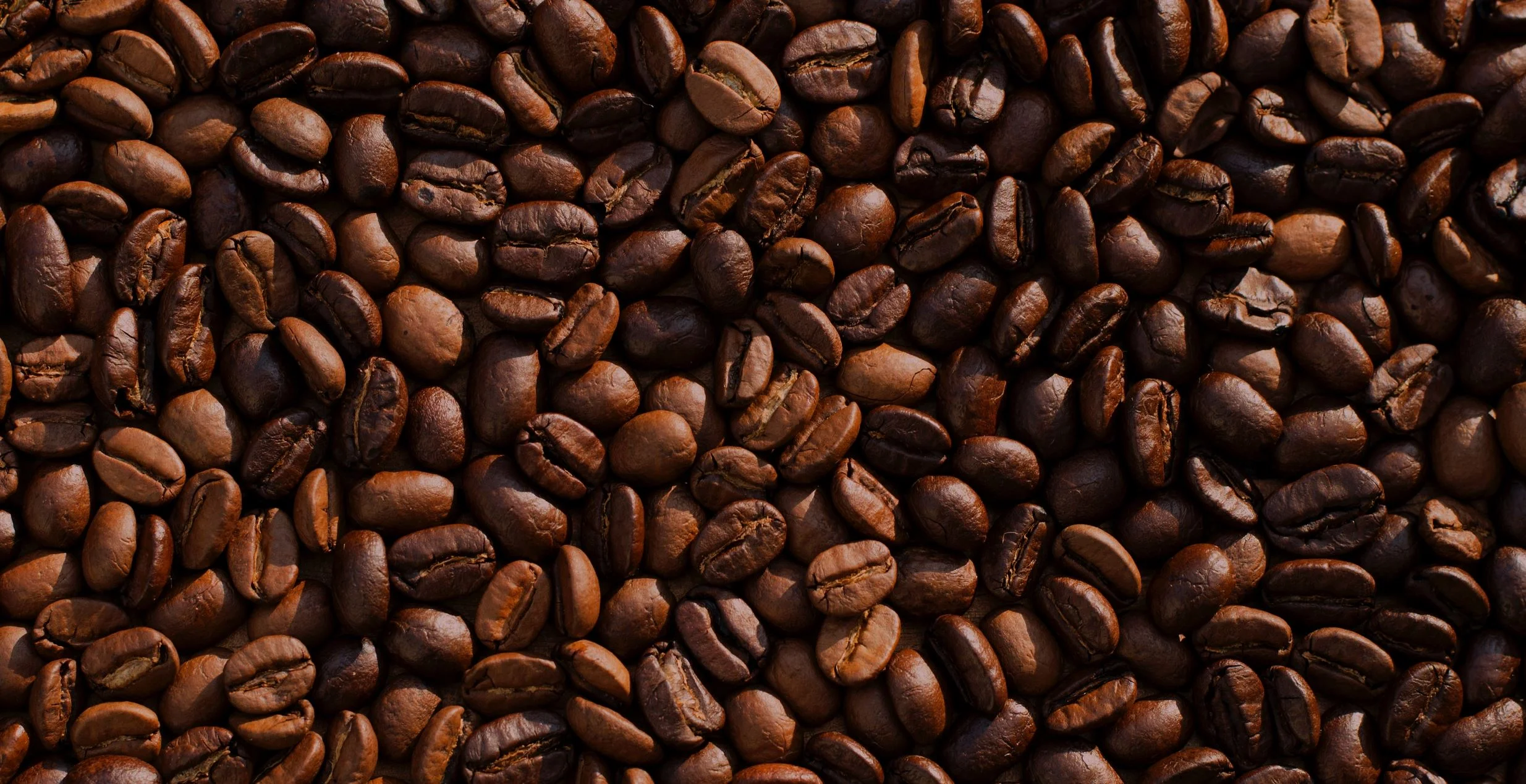 Coffee: 60% of wild species are at risk of extinction due to climate change