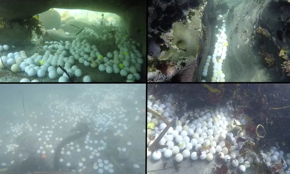 A teen scientist helped me discover tons of golf balls polluting the ocean
