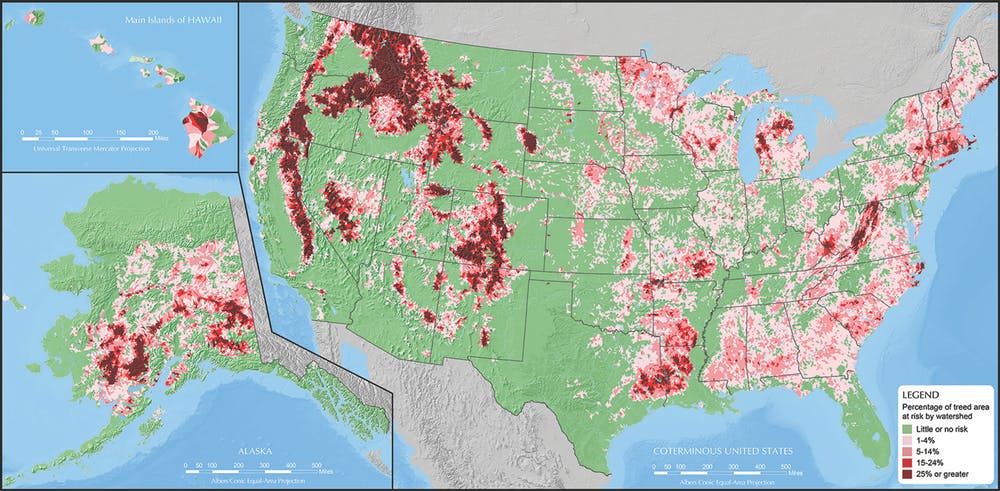 More than 80 million acres are at risk of losing at least 25 percent of tree vegetation between 2013 and 2027 due to insects and diseases. Krist et al. (2014) , CC BY-SA