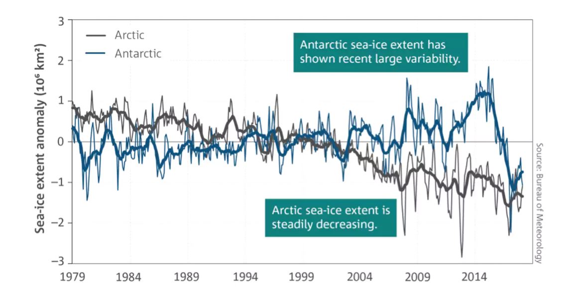 Antarctic and Arctic sea ice cover (shown as the net anomaly from the 1981–2010 average) for January 1979 to May 2018. Thin lines are monthly averages and indicate the variability at shorter time-scales. Thick lines are 11-month running averages. Bureau of Meteorology, Author provided