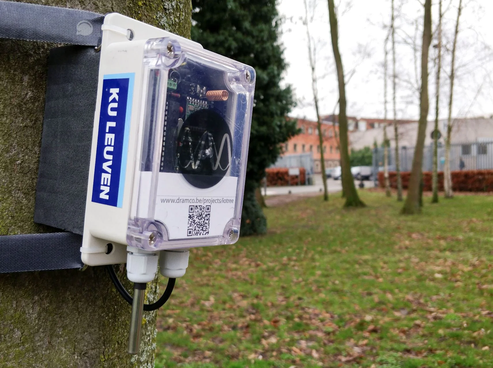 Cool Tech: Internet of Trees maps the health of trees online