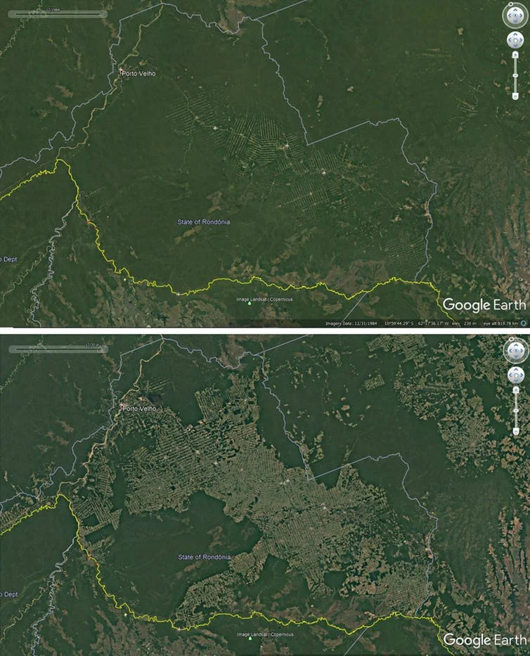 Deforestation around roads in Rondonia, Brazil, 1984-2016. - Credit: Google Earth