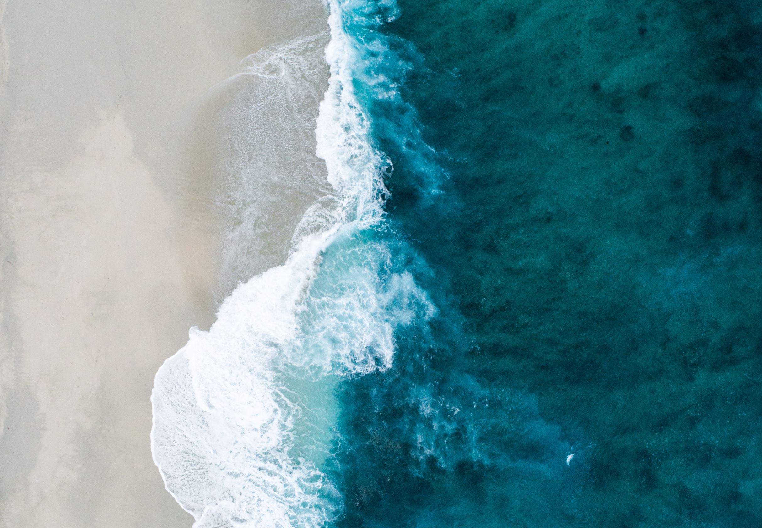 Image Credit: Shifaaz shamoon via UInsplash